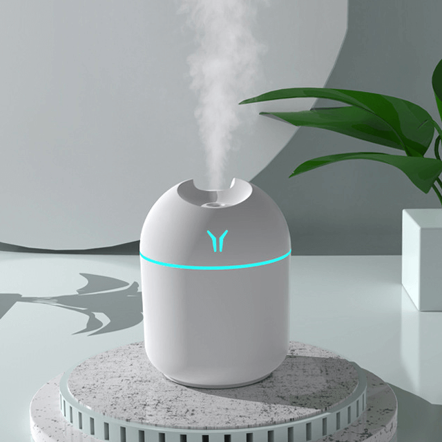 Mini USB Mister Humidifier with Lighting