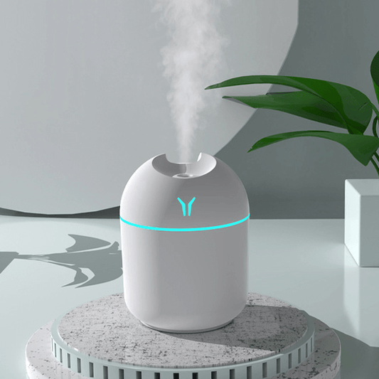 Mini USB Mister Humidifier with Lighting